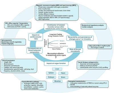 Long-term fasting: Multi-system adaptations in humans (GENESIS) study–A single-arm interventional trial